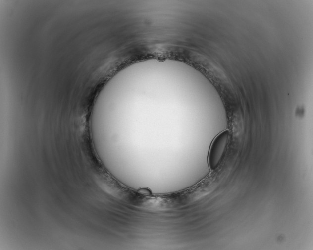 X0000101980611200808011101