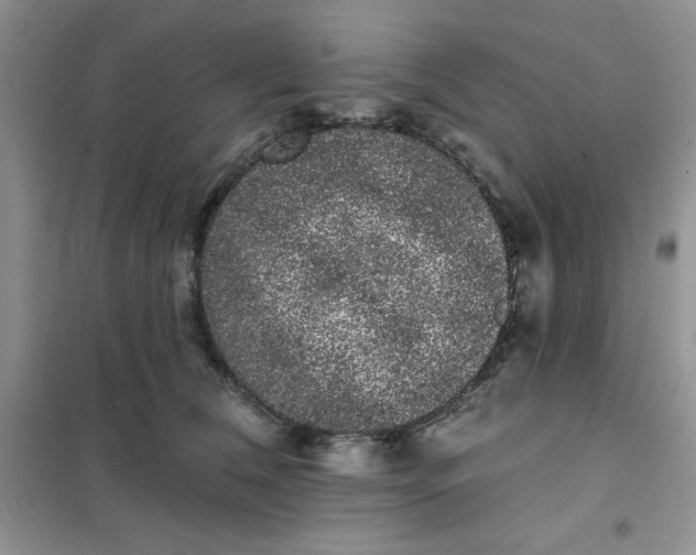 X0000101980612200808011101