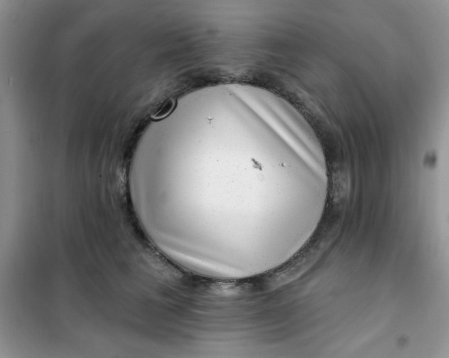 X0000101980613200808011101