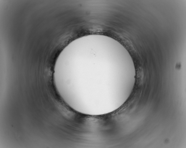 X0000101980614200808011101