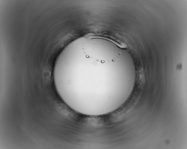 X0000101980615200808011101