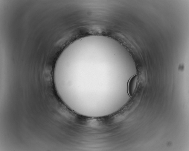 X0000101980616200808011101