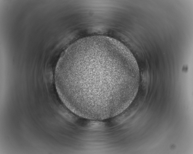 X0000101980617200808011101