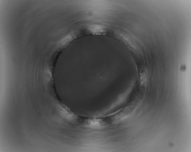 X0000101980618200808011101