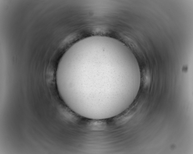 X0000101980619200808011101