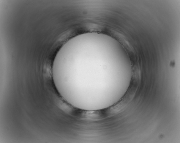 X0000101980622200808011101