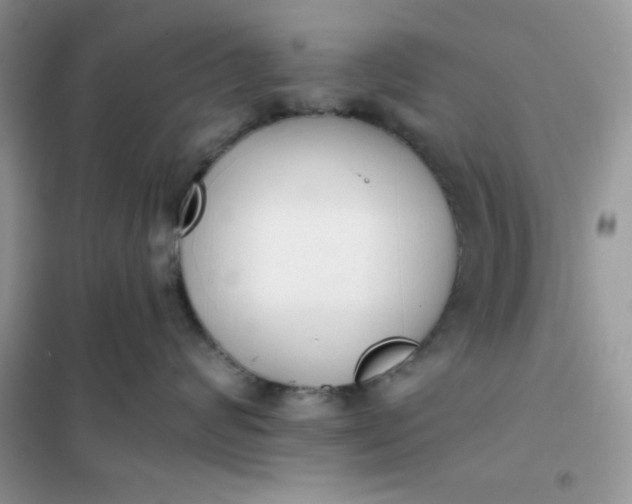 X0000101980624200808011101