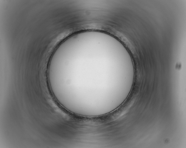 X0000101980625200808011100