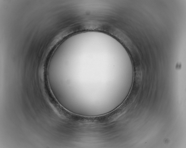 X0000101980626200808011100