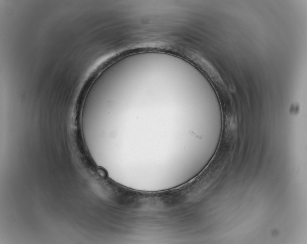 X0000101980628200808011100