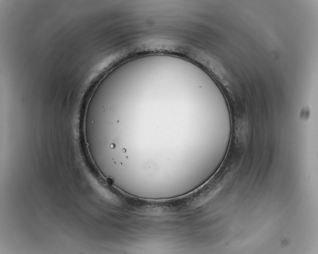 X0000101980629200808011100