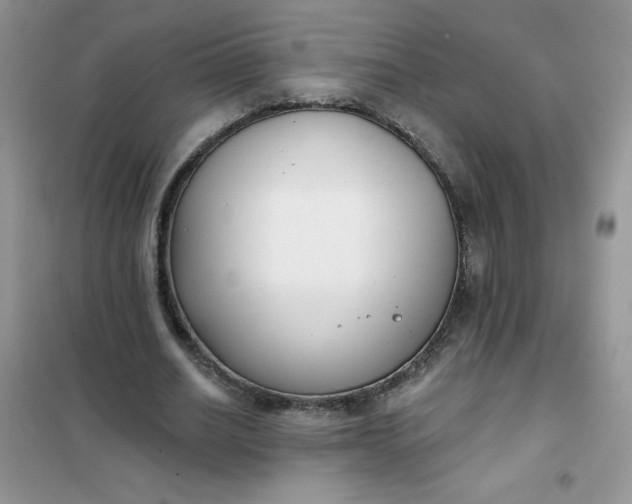 X0000101980630200808011100