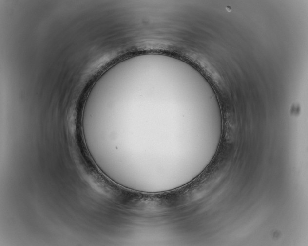 X0000101980631200808011100