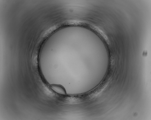 X0000101980633200808011100