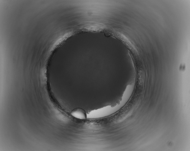 X0000101980634200808011100