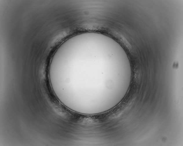 X0000101980635200808011100