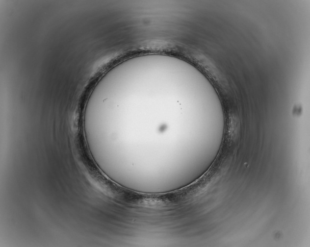 X0000101980636200808011100