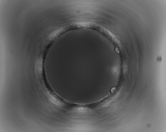 X0000101980637200808011100