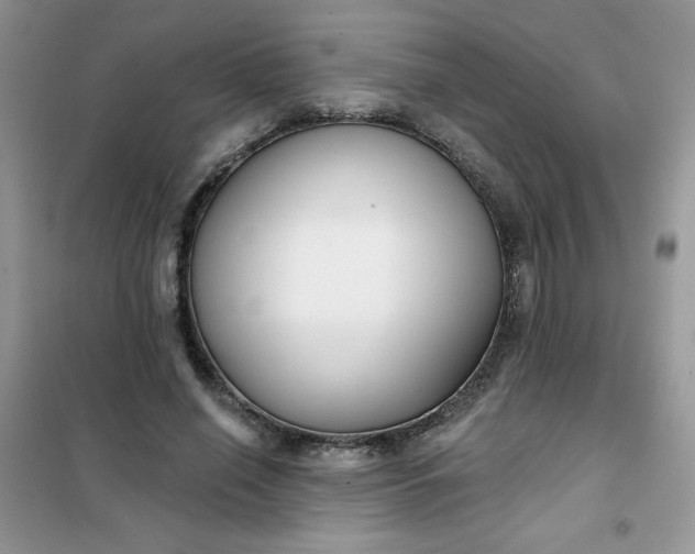 X0000101980638200808011100