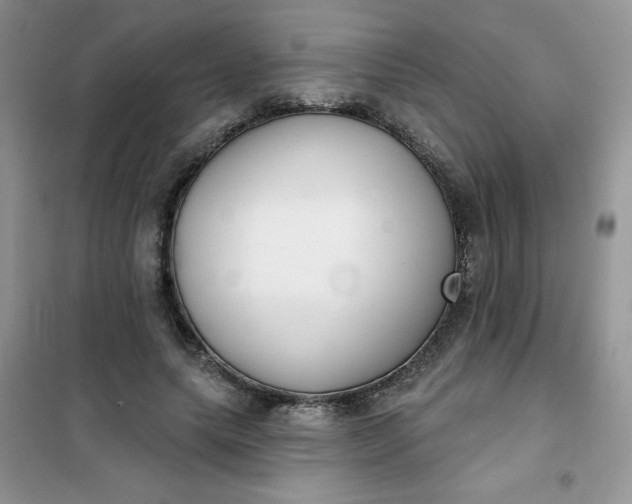 X0000101980639200808011100