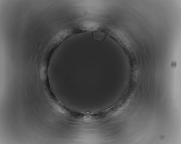 X0000101980641200808011100