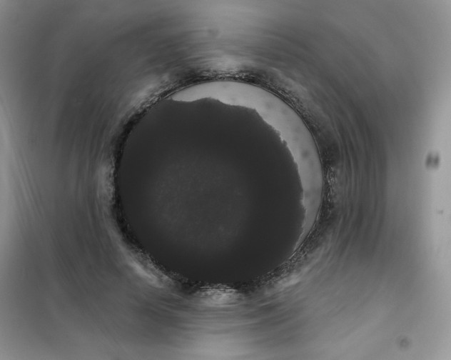 X0000101980642200808011100