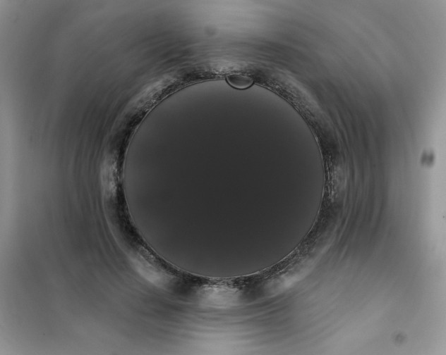 X0000101980644200808011100