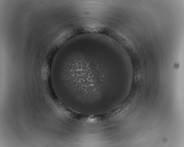 X0000101980647200808011101