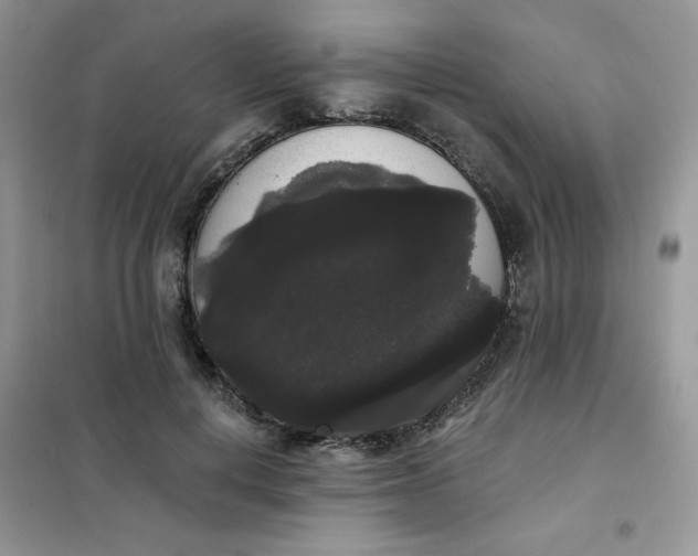 X0000101980648200808011101