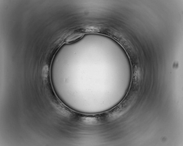 X0000101980649200808011101