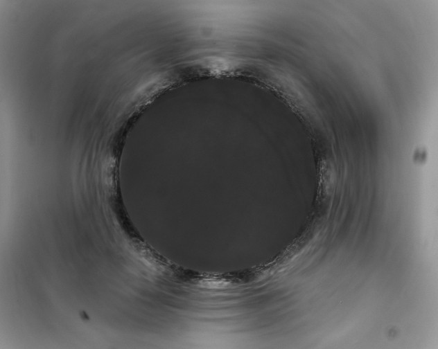 X0000101980650200808011101