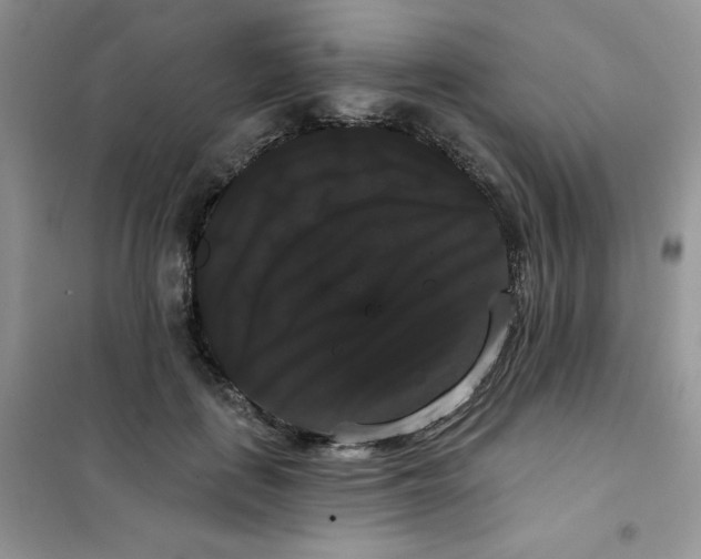 X0000101980651200808011101