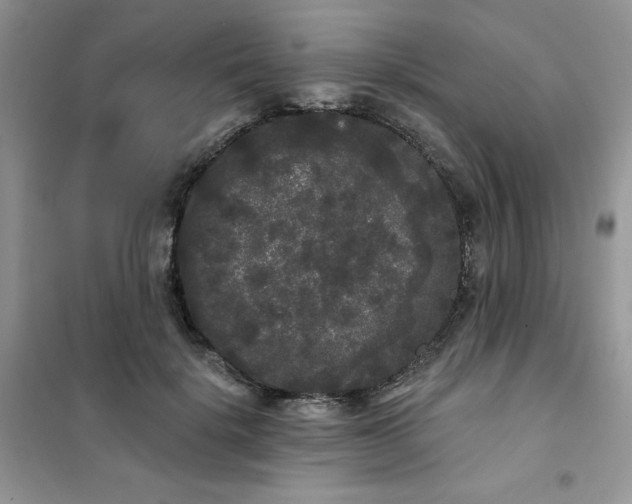 X0000101980652200808011101