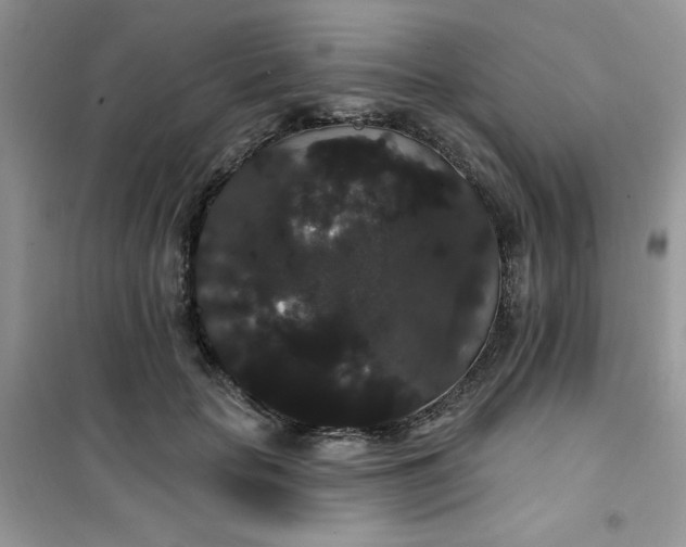 X0000101980653200808011101