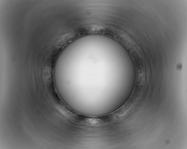 X0000101980654200808011101