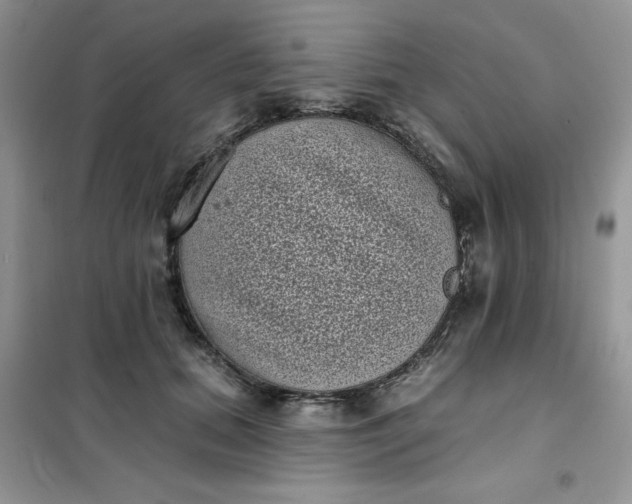 X0000101980655200808011101