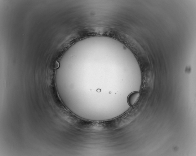 X0000101980656200808011101