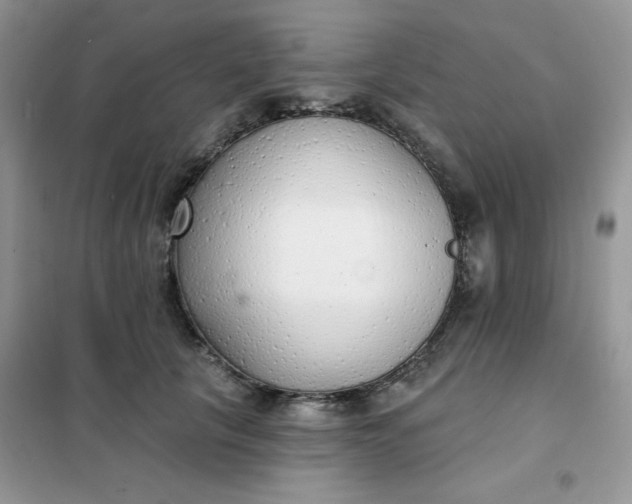 X0000101980657200808011101