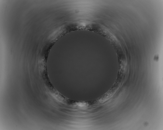 X0000101980659200808011101