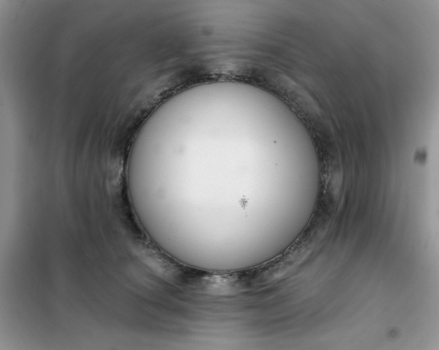 X0000101980660200808011101