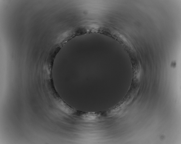 X0000101980661200808011101