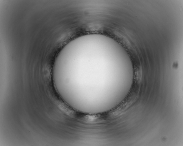 X0000101980662200808011101