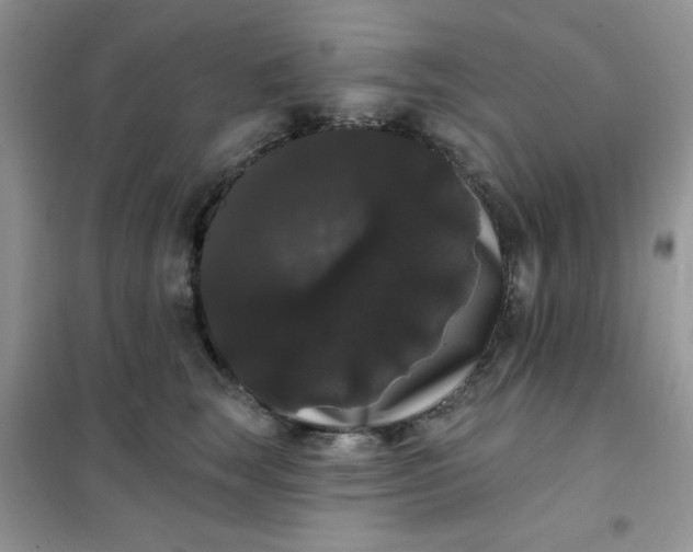 X0000101980663200808011101