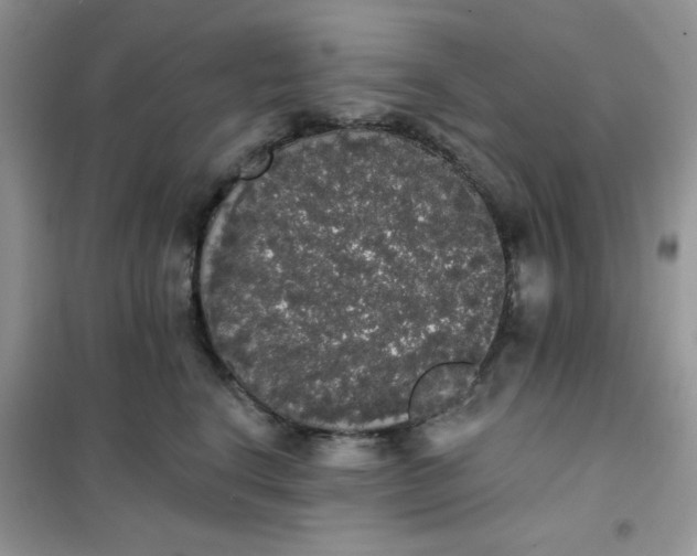 X0000101980664200808011101