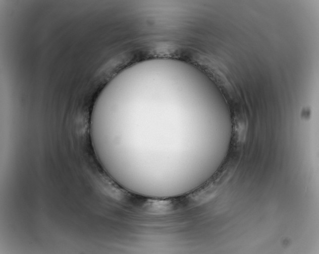 X0000101980665200808011101