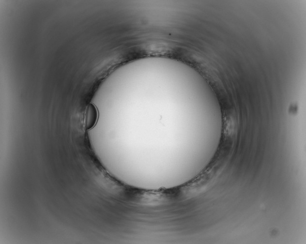 X0000101980666200808011101