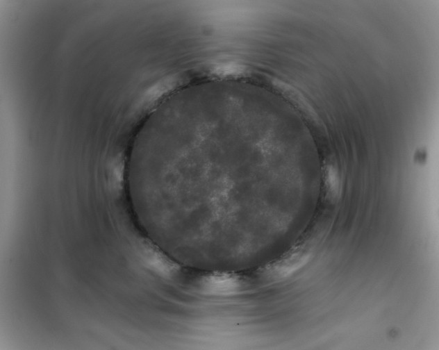 X0000101980668200808011101