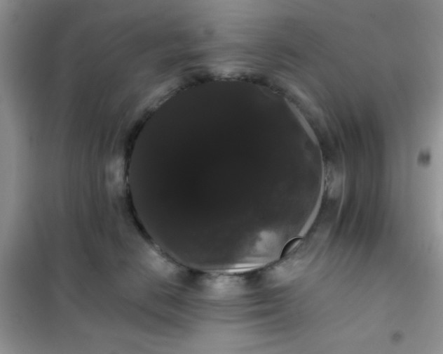 X0000101980670200808011101