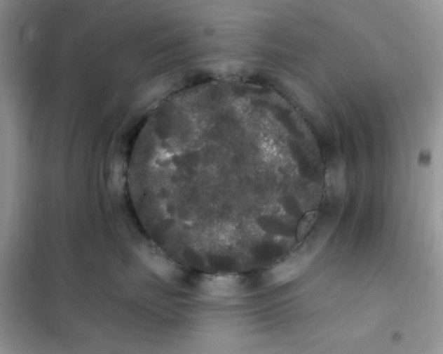 X0000101980671200808011101