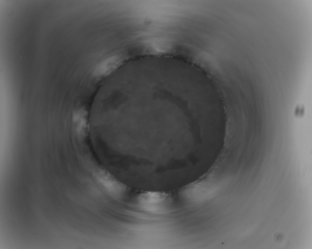 X0000101980672200808011101